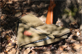Fold For Field Shotgun Sleeve